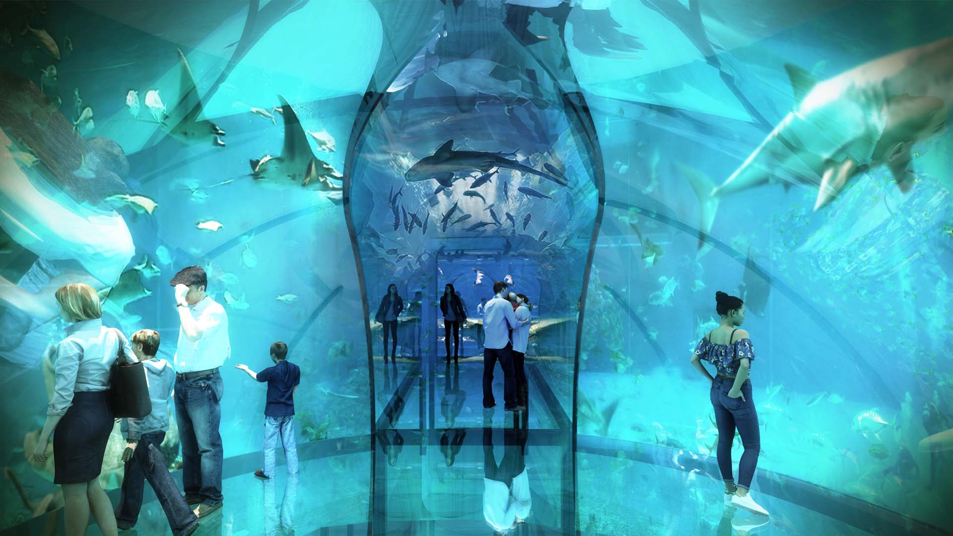 aquarium