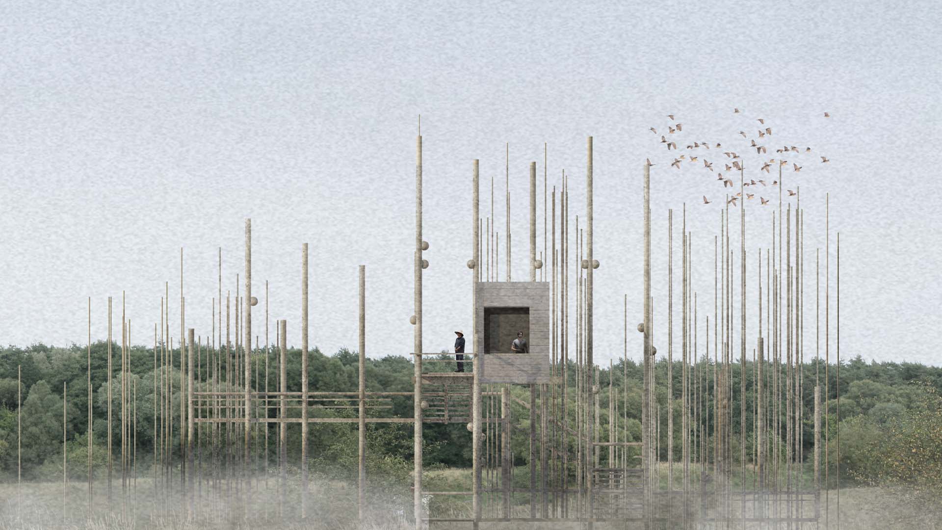 bird observatory