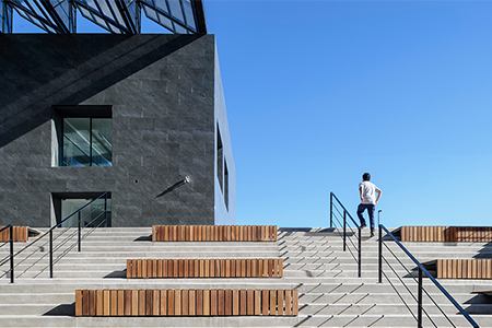 quin in arquine